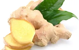 Thuốc nam trị một số bệnh mùa lạnh