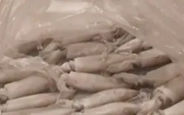 Bé gái sốc phản vệ độ 3 sau khi ăn mực