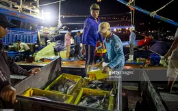 VASEP đề xuất các hoạt động khắc phục "thẻ vàng" IUU