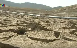 Khô hạn tại Nam Trung Bộ đã bắt đầu khốc liệt hơn