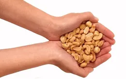 Ăn các loại hạt mỗi ngày giảm nguy cơ ung thư