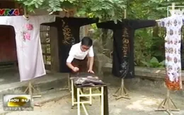 Áo dài Việt Nam - Nguồn cảm hứng bất tận