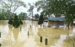 Hà Tĩnh dành gần 9 tỷ đồng khôi phục sản xuất