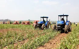 Gia Lai đưa cơ giới hóa vào phát triển nguyên liệu mía