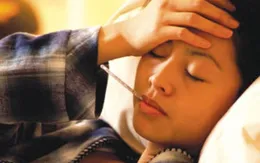 Bệnh sốt vàng có nguy cơ xâm nhập vào Việt Nam