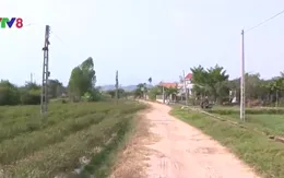 Người dân miền Trung rời bỏ làng do nắng hạn