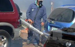 Các quốc gia Nam Mỹ gấp rút đối phó với virus Zika