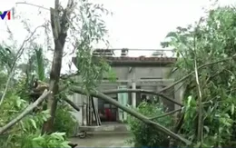 Quảng Trị, Nghệ An chịu ảnh hưởng nặng do mưa lũ