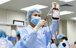 Chỉ sử dụng máu, tế bào gốc chữa bệnh, nghiên cứu khoa học
