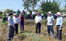 Bộ trưởng Cao Đức Phát kiểm tra công tác chống hạn Kon Tum