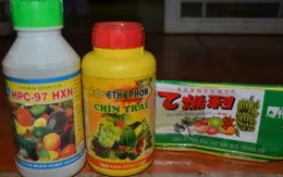 Tác hại đến sức khoẻ do sử dụng tuỳ tiện thuốc thúc chín trái cây