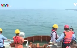 Nước biển tại 6 bãi tắm ở Hà Tĩnh đều an toàn