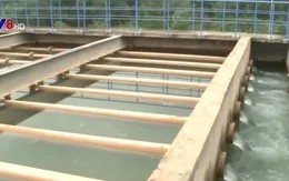 Đà Nẵng sẽ thiếu nước cục bộ