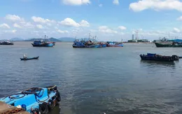 Nghị định 67 - Nguồn động lực để ngư dân vươn khơi