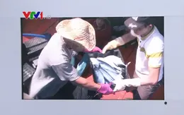 Thu mua tại cảng, ngư dân Quảng Bình yên tâm bám biển