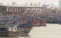 Đài Thông tin Duyên hải Đà Nẵng - Cầu nối giữa đất liền và biển khơi