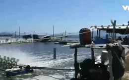 Nuôi tôm trên cát gây ô nhiễm môi trường ven biển