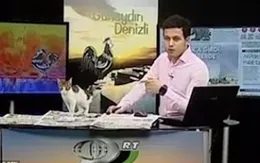 Bản tin truyền hình bị gián đoạn theo cách hài hước khó tin