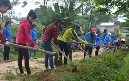 Mùa Hè xanh giàu ý nghĩa của SV tình nguyện ĐH Nông Lâm Thái Nguyên