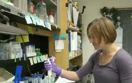 Protein kích thích sản sinh insulin