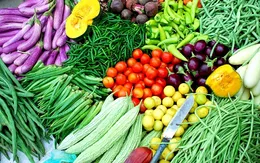 Rối loạn chuyển hóa lipid máu nên ăn gì?