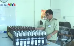 Phú Yên bắt giữ hơn 230 chai rượu ngoại nhập lậu