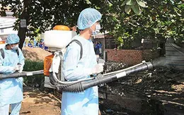 Dịch sốt  xuất huyết bùng phát ở các tỉnh Nam Trung Bộ