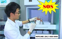 Thiếu máu trầm trọng sau Tết tại nhiều bệnh viện