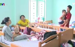 Khánh Hòa: Gia tăng bệnh nhân nhập viện do sốt xuất huyết