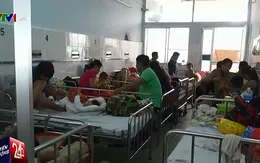 Bình Định: Gia tăng bệnh nhân sốt xuất huyết nặng