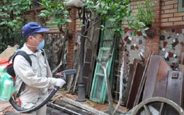 Hà Nội: Ghi nhận thêm 3 ổ dịch sốt xuất huyết mới