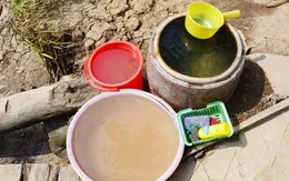 TP.HCM tăng cường phòng chống dịch bệnh do virus Zika