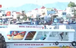 Ngư dân Khánh Hòa đầu tư tàu du lịch đáy kính