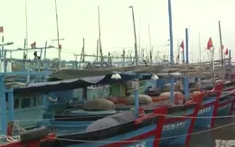 Phú Yên: Cửa biển bồi lấp, hàng trăm tàu câu cá ngừ "mắc cạn"