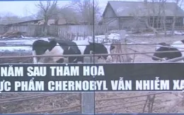 30 năm sau thảm họa hạt nhân, thực phẩm ở Chernobyl vẫn nhiễm xạ