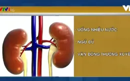 Cách phòng các bệnh liên quan đến thận