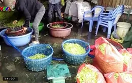 35% số ca ung thư tại Việt Nam có liên quan đến thực phẩm bẩn