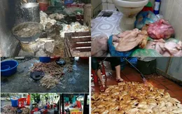 Thực phẩm "bẩn" có thể gây ra trên 200 căn bệnh