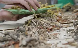 Sắc thuốc đông y thế nào cho đúng?