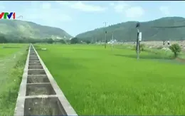 Đầu tư nửa vời, công trình thủy lợi không thể chống hạn