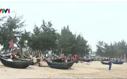 Ngư dân phản đối việc di dời bến neo đậu tàu thuyền ở bãi biển Sầm Sơn