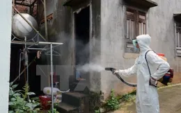 Bùng phát sốt xuất huyết ở Tây Nguyên