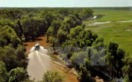 Trải nghiệm Vườn Quốc gia Tràm Chim mùa nước nổi