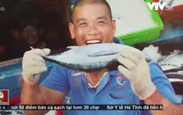 Ngư dân Quảng Bình phấn khởi khi cá được tiêu thụ tốt