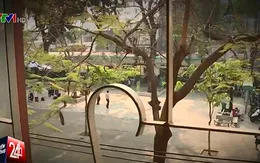 TP.HCM và các bất cập đáng ngạc nhiên về trường lớp