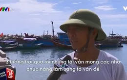 Người dân mong chờ gì từ công bố kết quả nguyên nhân cá chết bất thường?