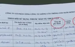 Kết quả kiểm tra chất lượng gạo phụ thuộc cái tâm của chủ cơ sở