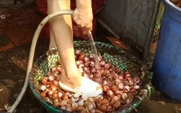 Giật mình hành khô làm từ khoai tây bẩn và... hành thối