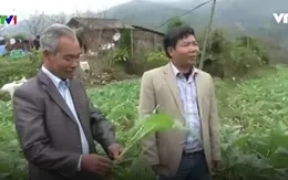 DN giúp nâng cao khả năng cạnh tranh của nông sản Việt Nam