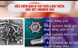 Tư vấn chẩn đoán, xét nghiệm bệnh viêm gan virus B và C